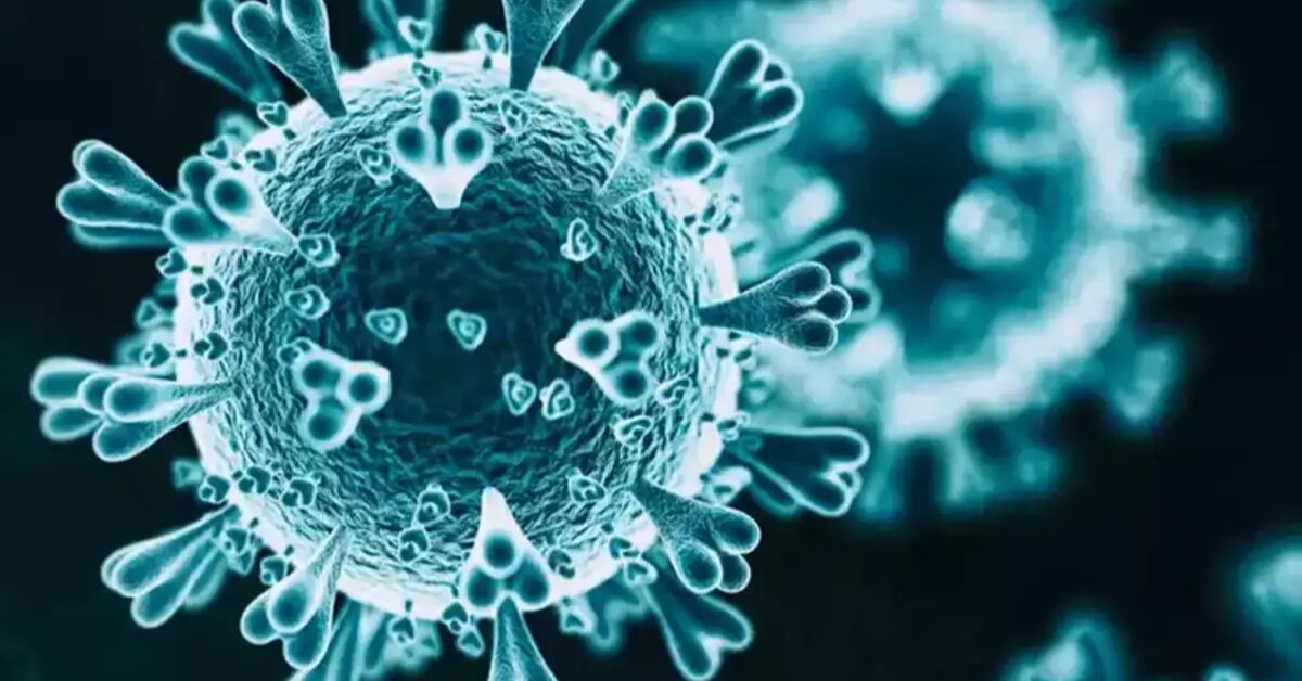 Image Credit: ET Health word